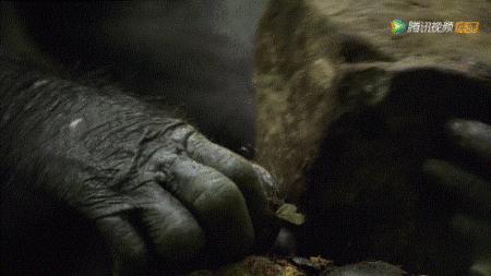 bbc封神,让很多人看一次哭一次的视频