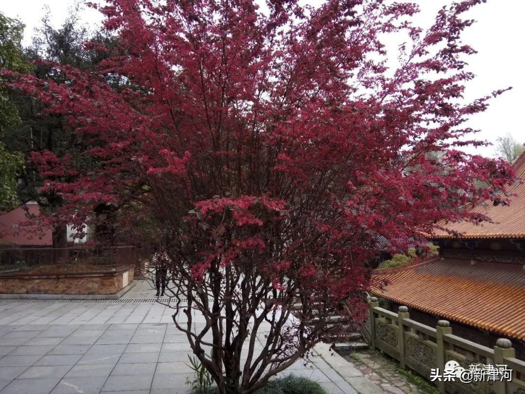 一个人的远方,一个人的远方太原站