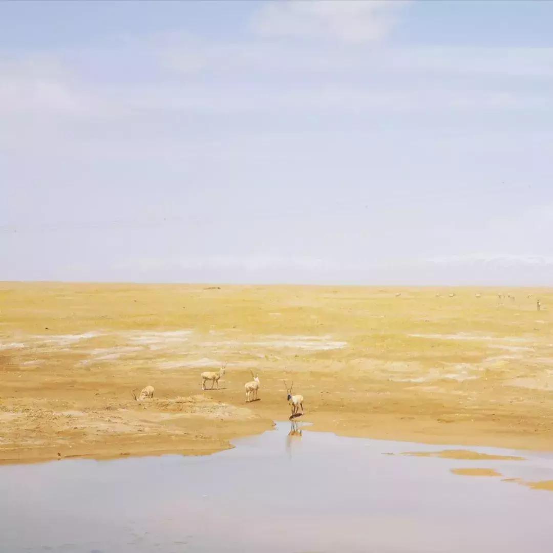 华为数字化蝶变,揭秘华为数字化转型大格局