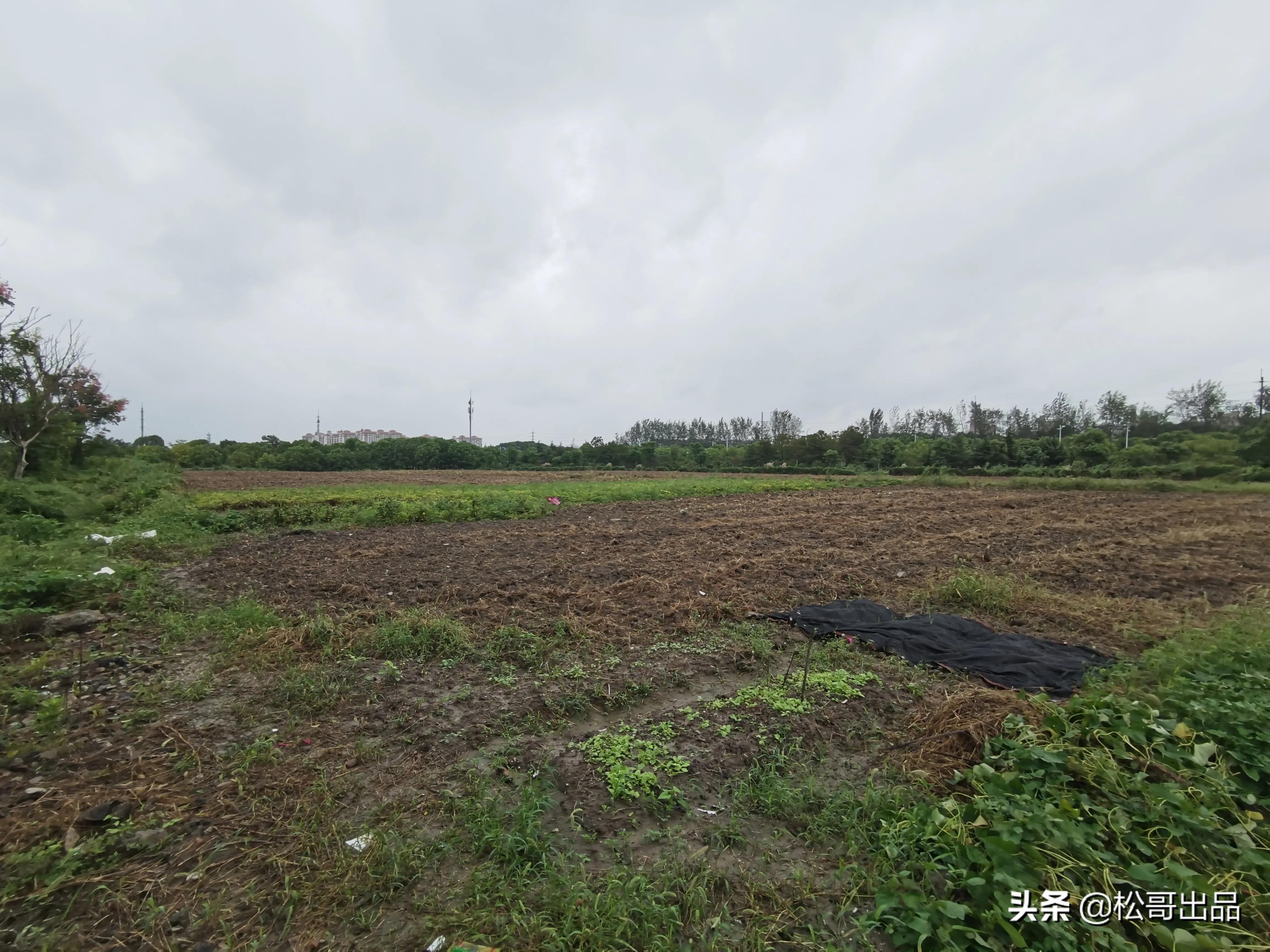 农家田园共享菜园,田园生活乐趣多上海菜园