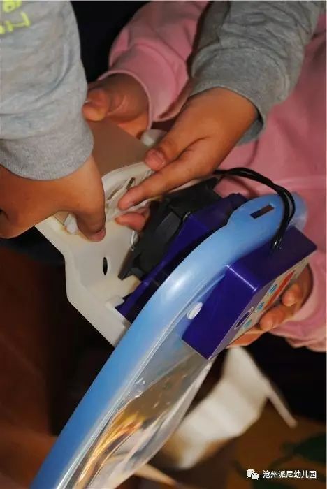 生命教育孵蛋,生命教育课程孵小鸡