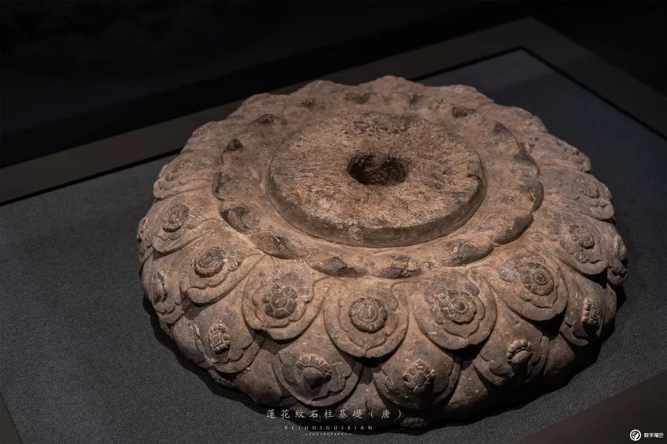 一起去博物馆发现古老的神器,陕西历史博物馆游览全攻略