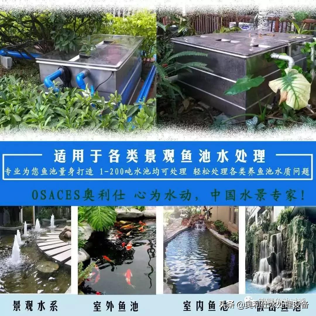 锦鲤鱼池过滤仓建造过程视频,锦鲤鱼池最好的过滤方式