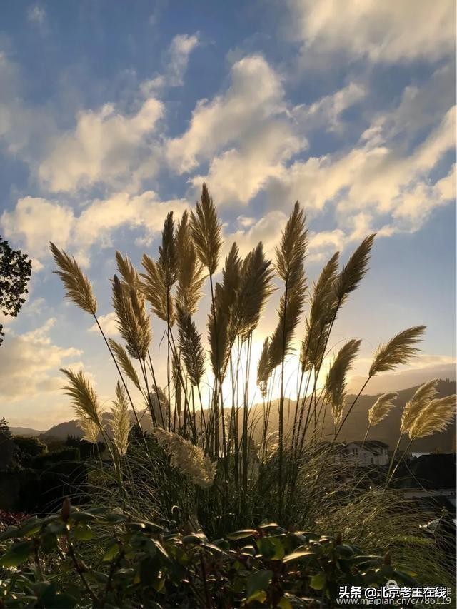 英国湖区景点排行榜,英国旅游推荐海边旅游景点