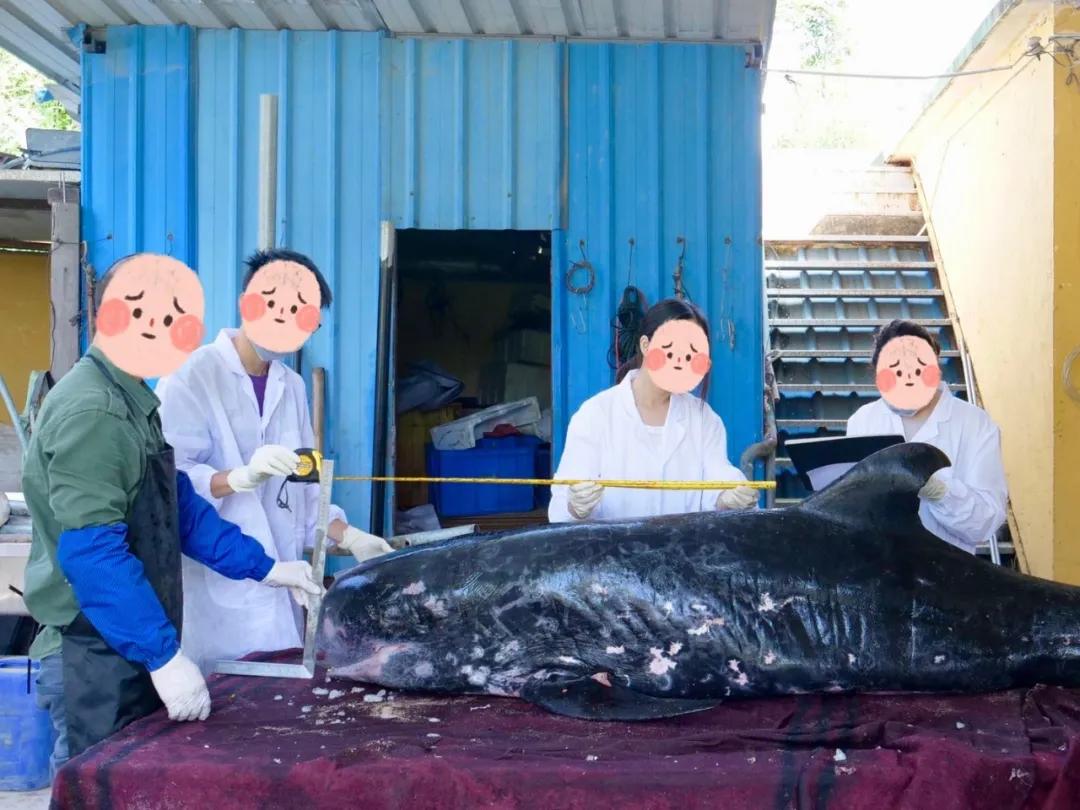 一边做实验一边看文献,一边做科研一边创业