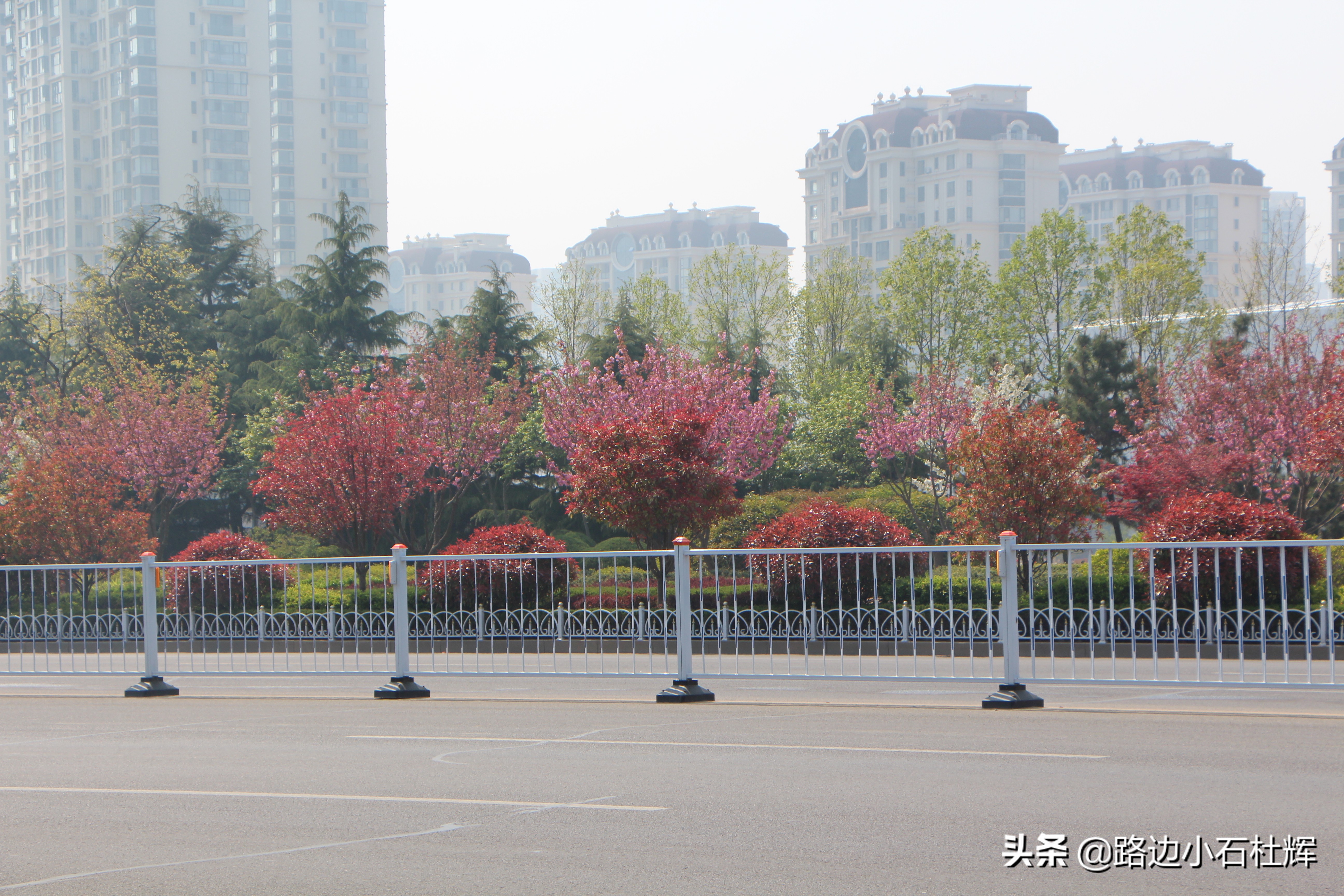 青岛黄岛记忆,青岛金沙滩景色图