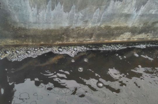 对虾养殖如何防控,对虾养殖风险期及注意事项