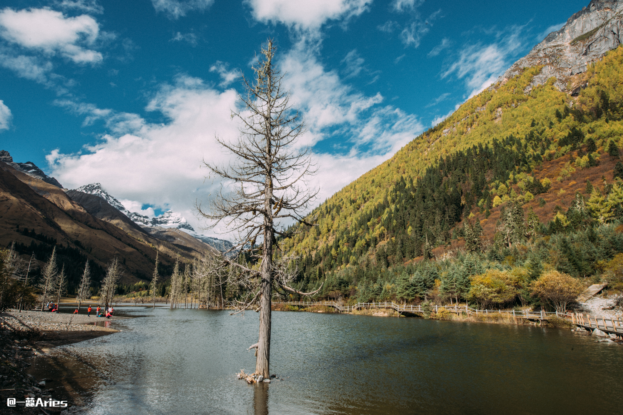 成都周边秋天美到极致的秋色,成都近郊游最美秋色