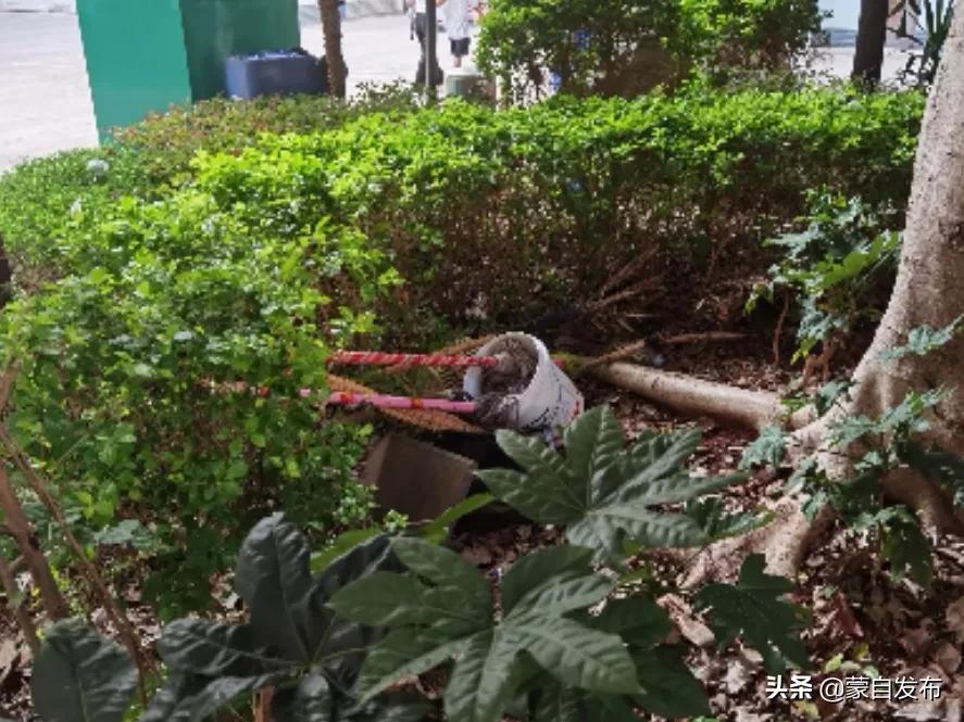 文明创建物业,社区物业文明创建工作存在问题