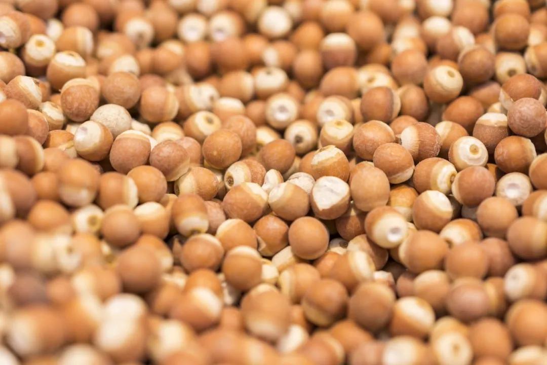 湿困症吃什么中成药,湿困怎么治