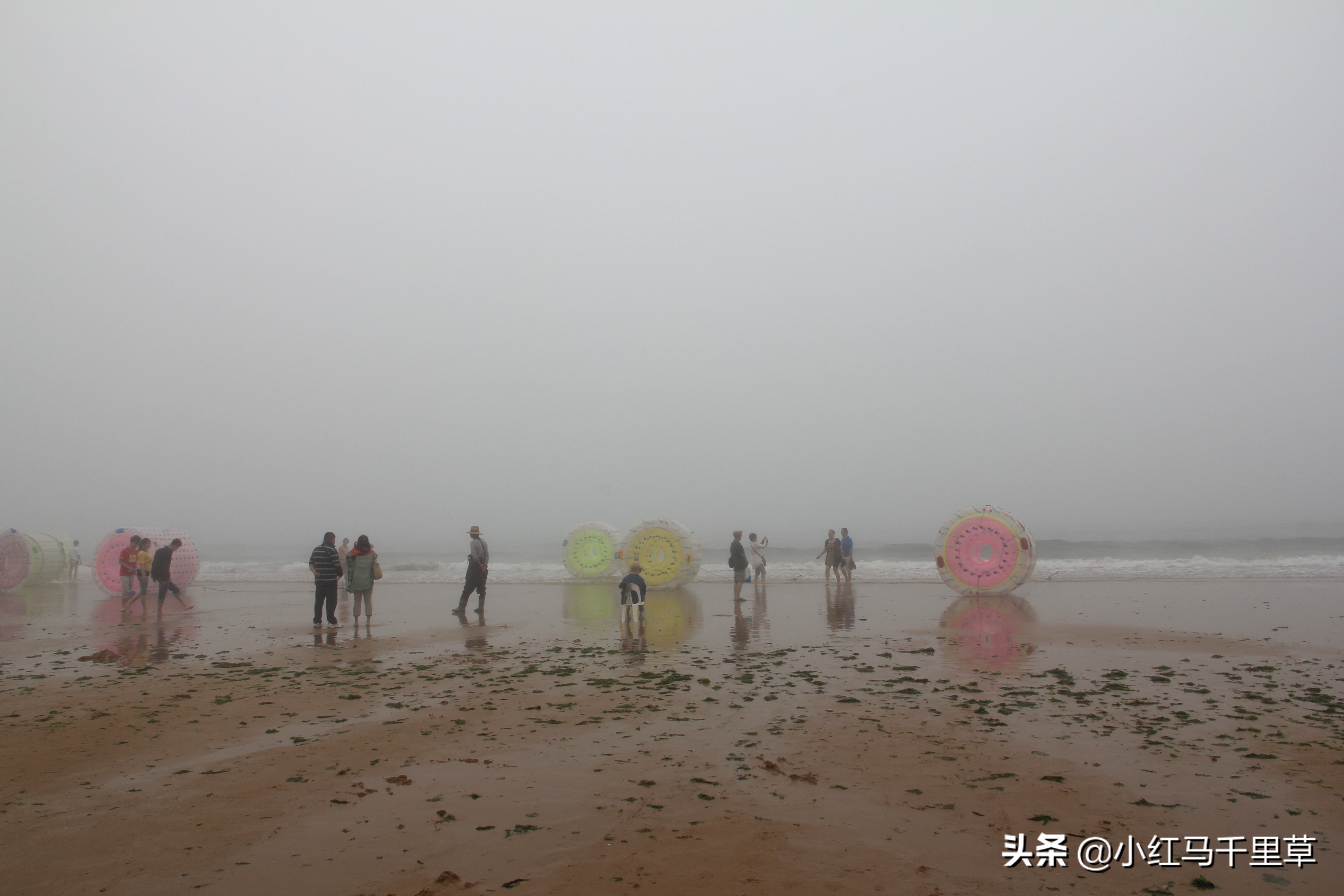 好客山东青岛旅游攻略,好客山东浪漫青岛