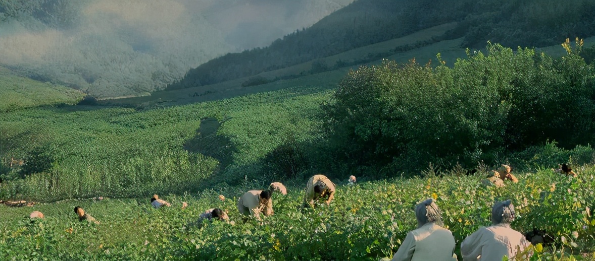 口碑爆棚，荒诞浪漫，吐血安利这部年度票房冠军