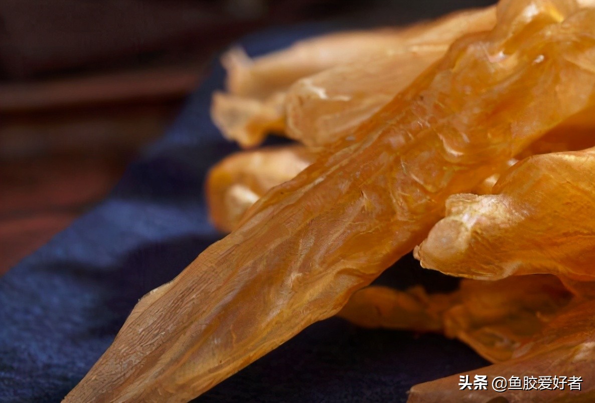 新手入门鱼胶,新手入手鱼胶哪种好