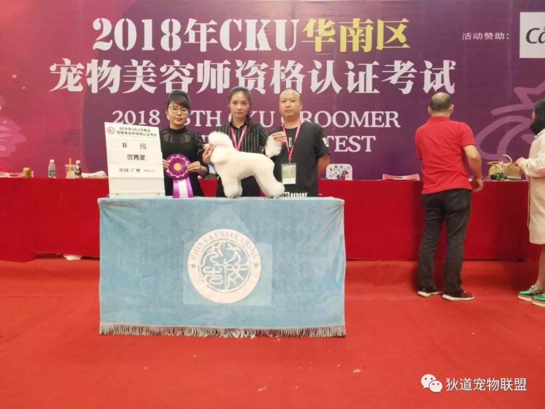 深圳宠物美容培训学校排名,壹择宠物美容培训学校