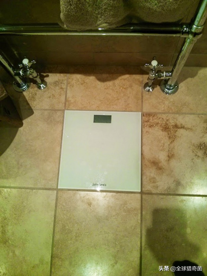 治愈强迫症的29张图片，看完整个人都舒爽了