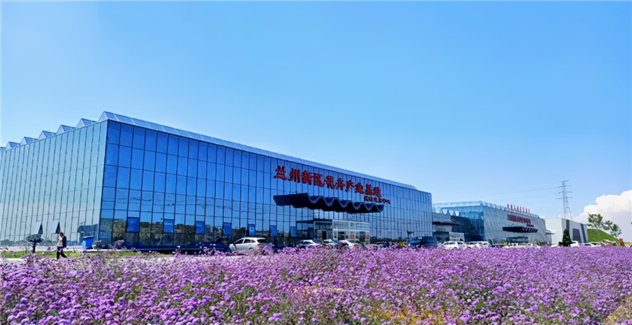 解锁花间密码探索花艺种植——研学旅行在新区