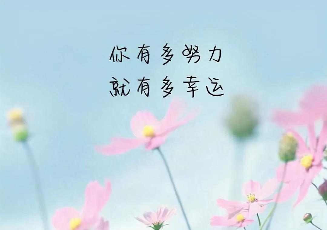 学习不是一个立竿见影的过程,学习不是轻而易举的事