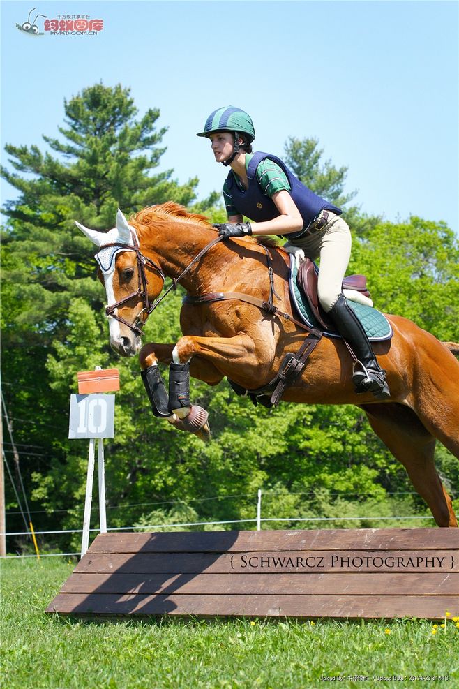 骑马怎么稳住,骑马怎么掌握平衡