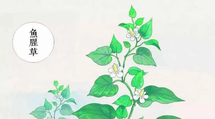 skii修复痘印的护肤品,skii修复面霜