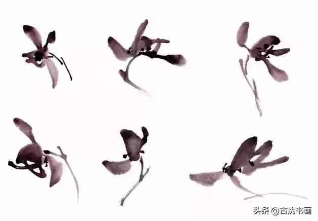 国画兰花技法讲解视频,徐湛国画兰花技法教学