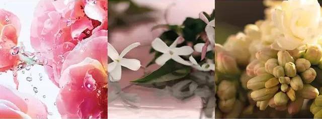 gucci5号香水,gucci5毫升香水