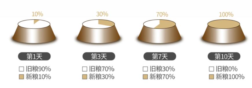 如何选高质量狗粮品牌,怎么选便宜狗粮品牌呢