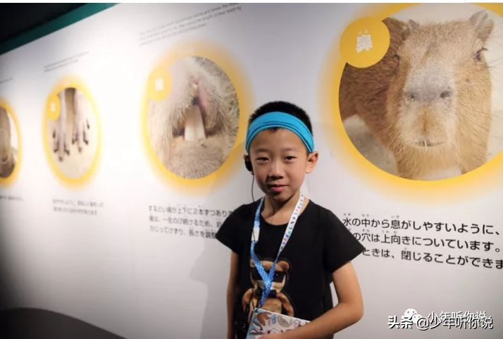 近期因为人类导致的物种灭绝,科普五次物种灭绝事件