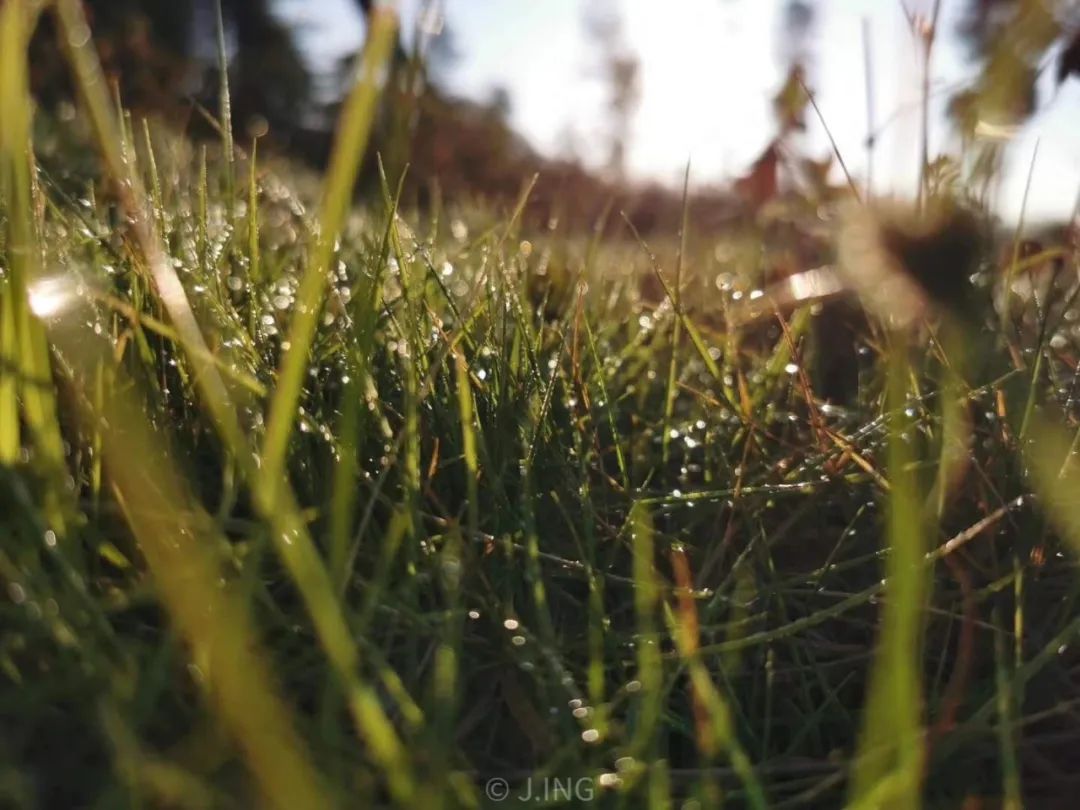 疫情期间静心修养,疫情期间要静心吗为什么