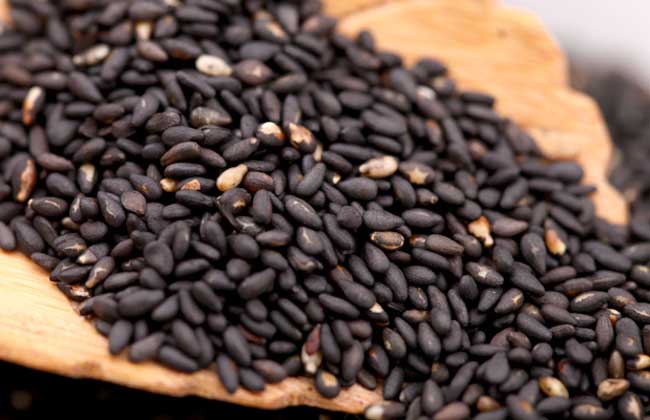 天天吃黑芝麻、黑米，真能减少白发？营养师：滋养黑发的是“它”