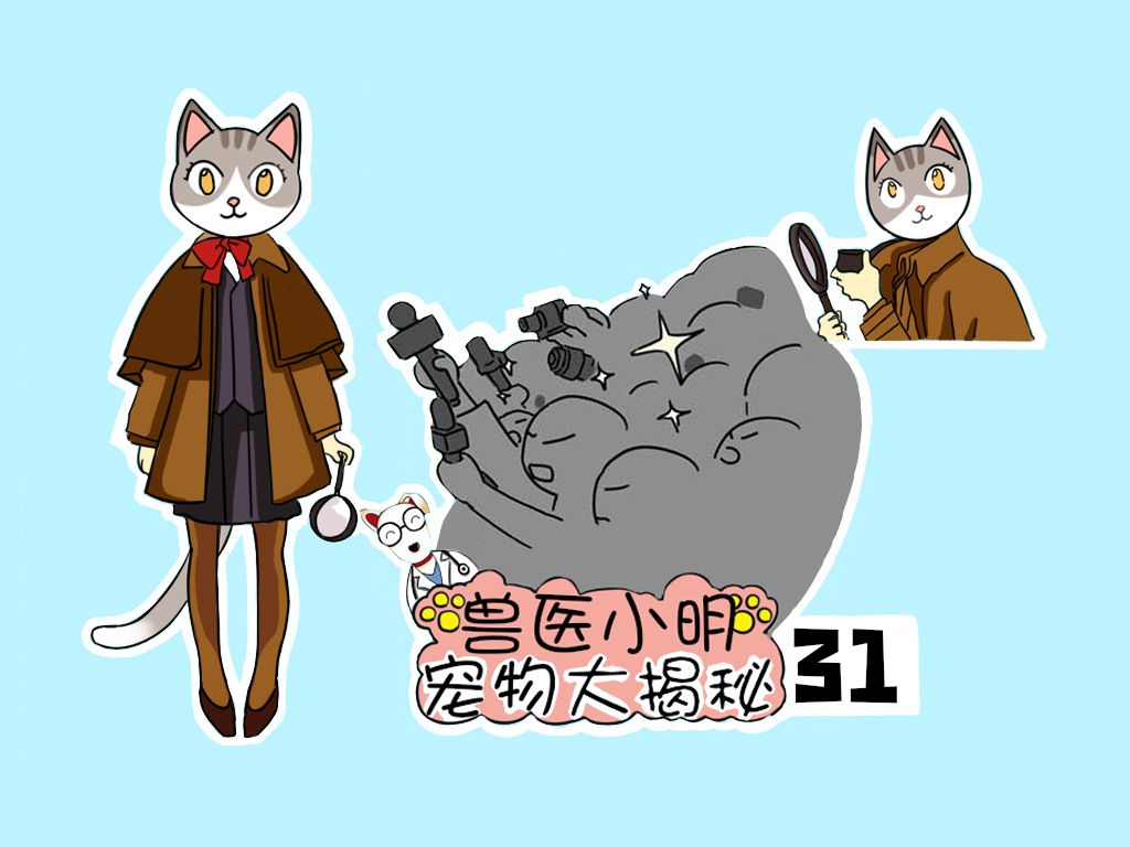 辟谣：猫咪肚子下有块赘肉是胖的吗？所见的胖或许不是胖