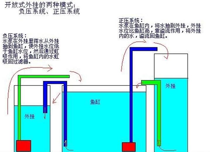 小型鱼缸过滤怎么设计,家庭鱼缸定制注意事项