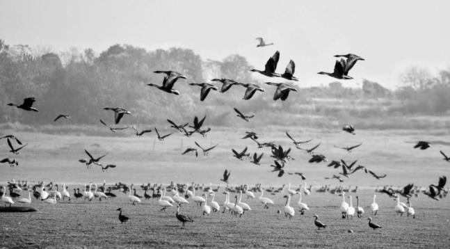 南昌已成为全球瞩目的焦点,南昌最新报道