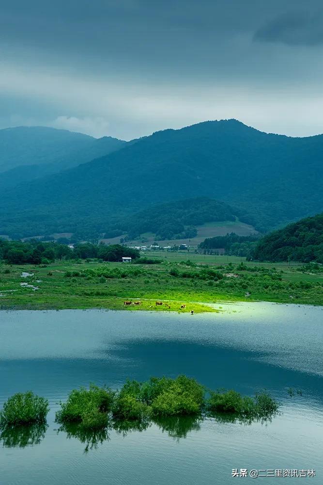 3分钟让你爱上jojo,3分钟让你爱上她