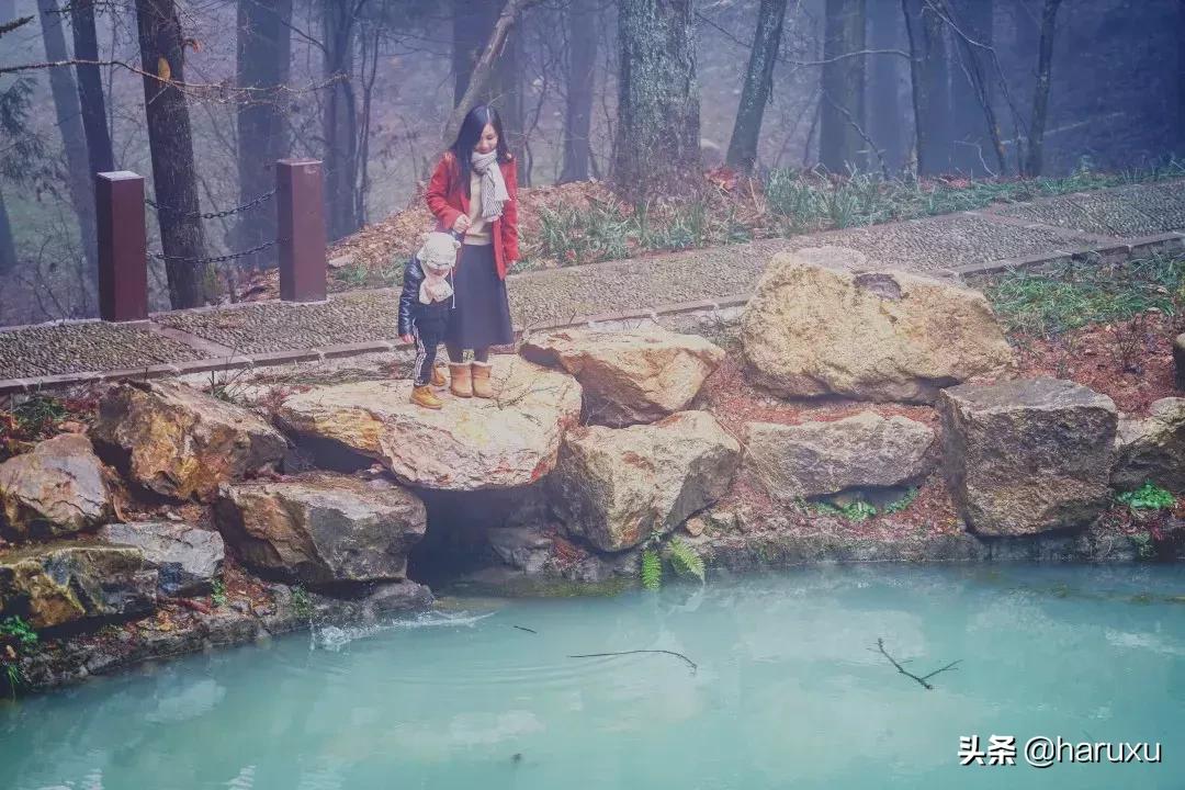 南方也能下雪吗,南方也能见到雪