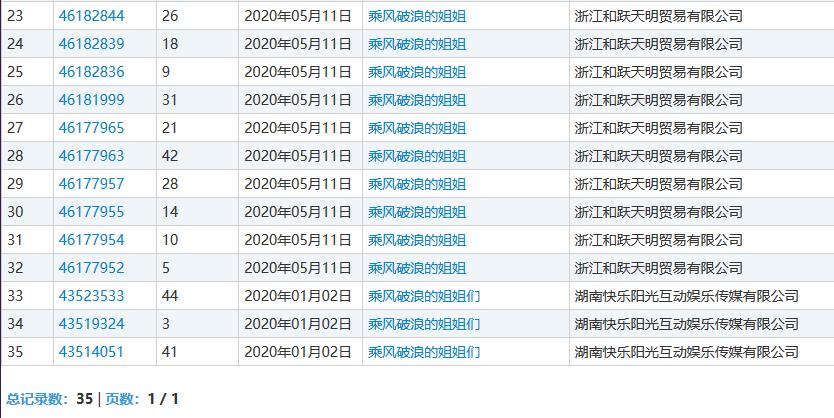 剽窃抢注商标,抄袭乘风破浪