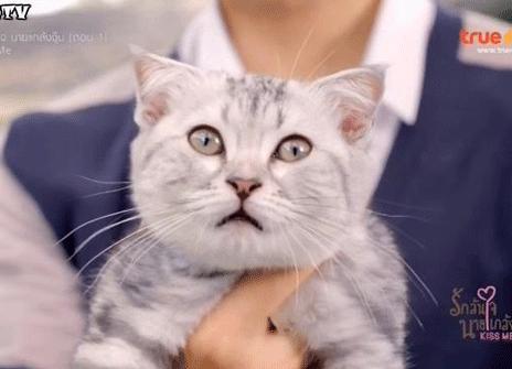 深扒大牌护肤品,深扒专柜隐藏款