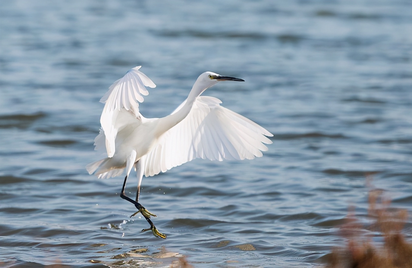 秦皇岛户外探险,秦皇岛旅游攻略最新版