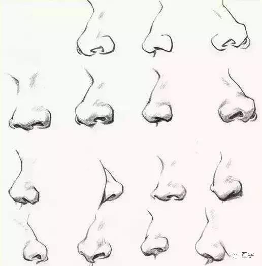 怎样画出一个逼真又立体的鼻子,新手画出高挺的鼻子