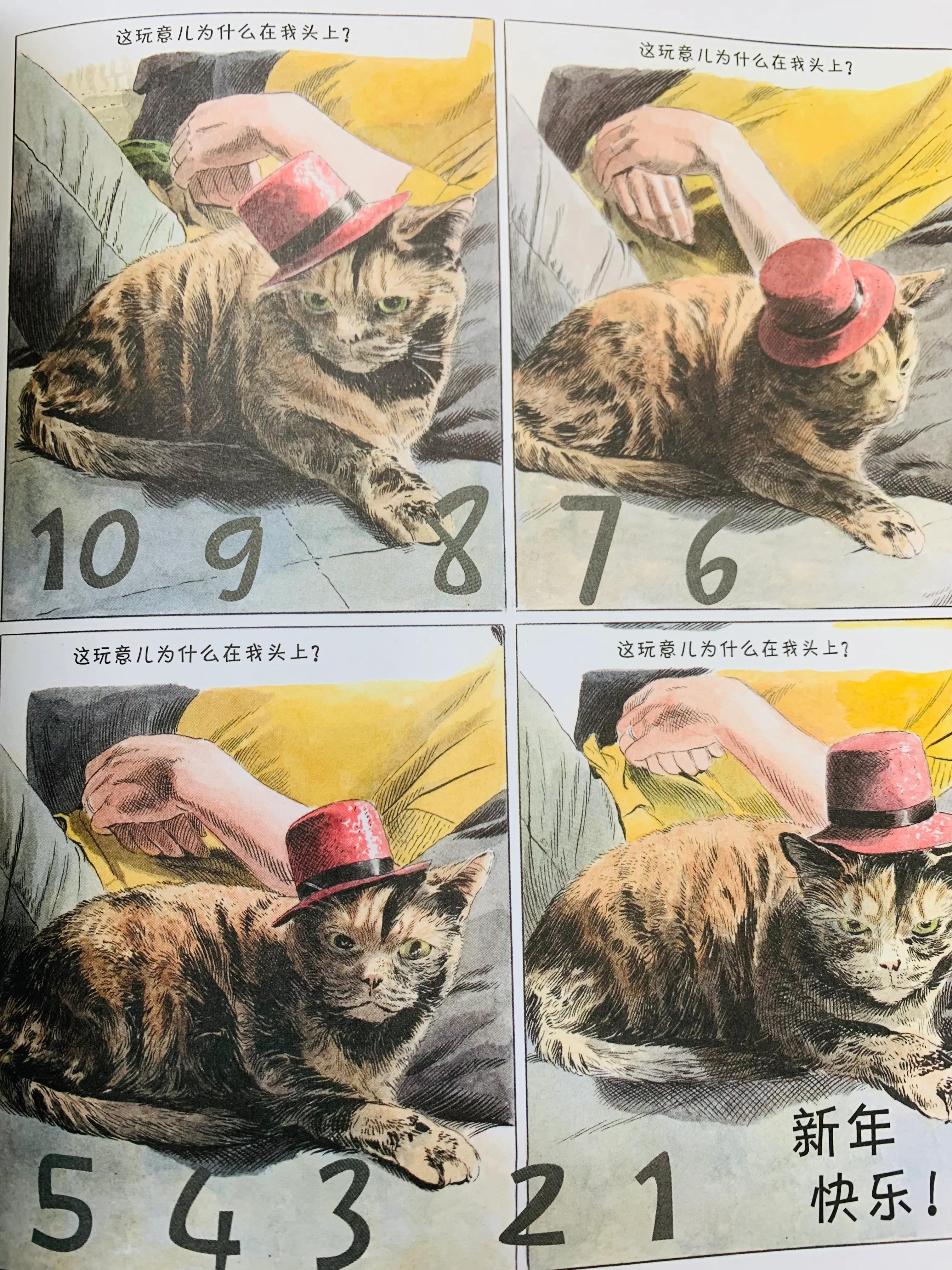 猫咪漫画治愈系短片,猫咪的搞笑漫画