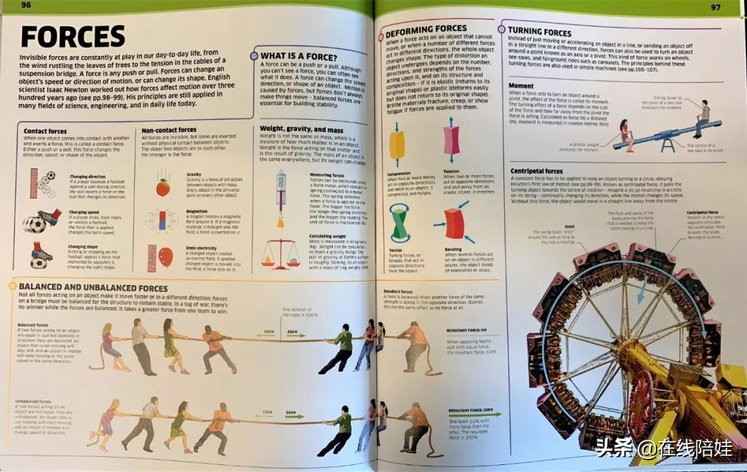 dk知识大百科全套,dk知识大百科书金银版