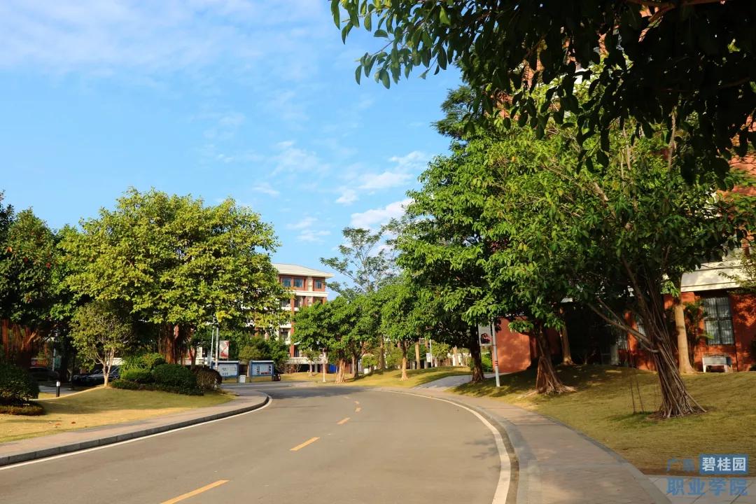 广东碧桂园职业学院有几个校区,广东碧桂园职业学院全免费