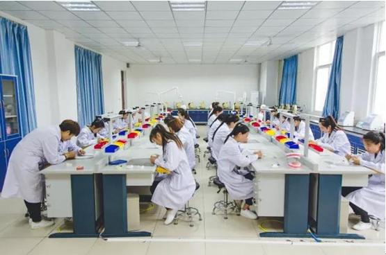 至美海棠最美好的年华遇见你