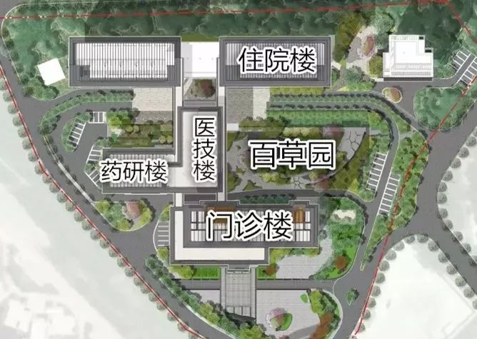 深圳最好的中医医院在哪里,深圳靠谱的中医医院