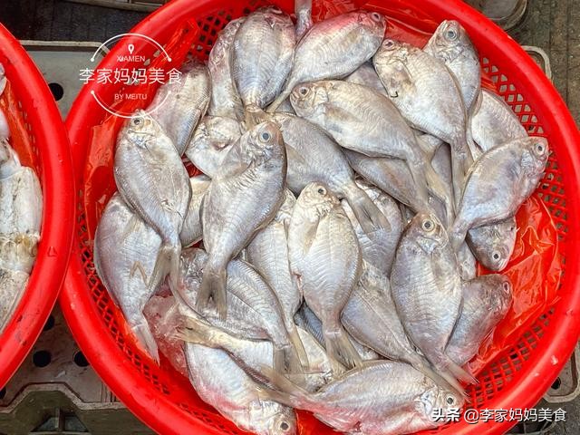 泉州休渔期什么时候结束,泉州休渔期2022时间表