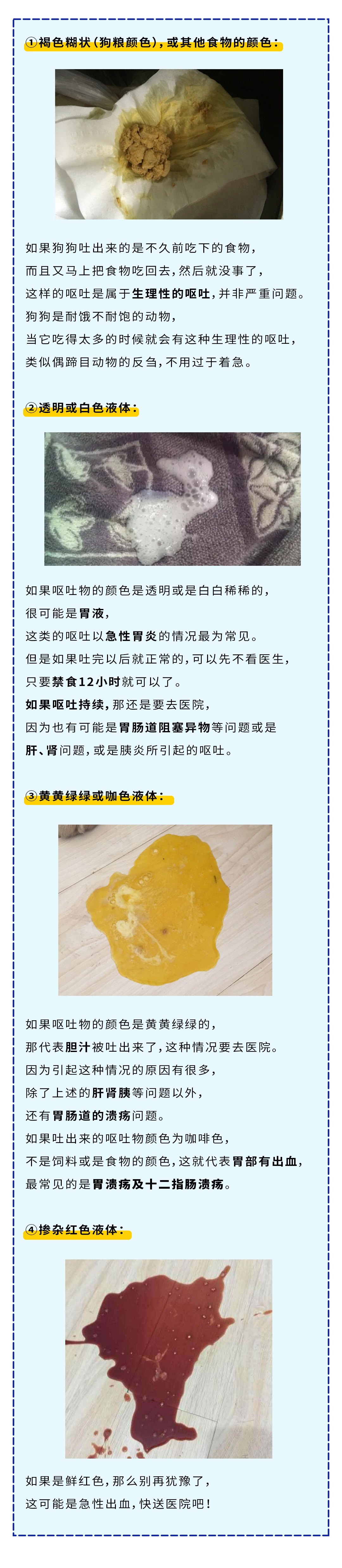 狗狗呕吐最快解决方法,狗狗呕吐严重怎么办吃什么药