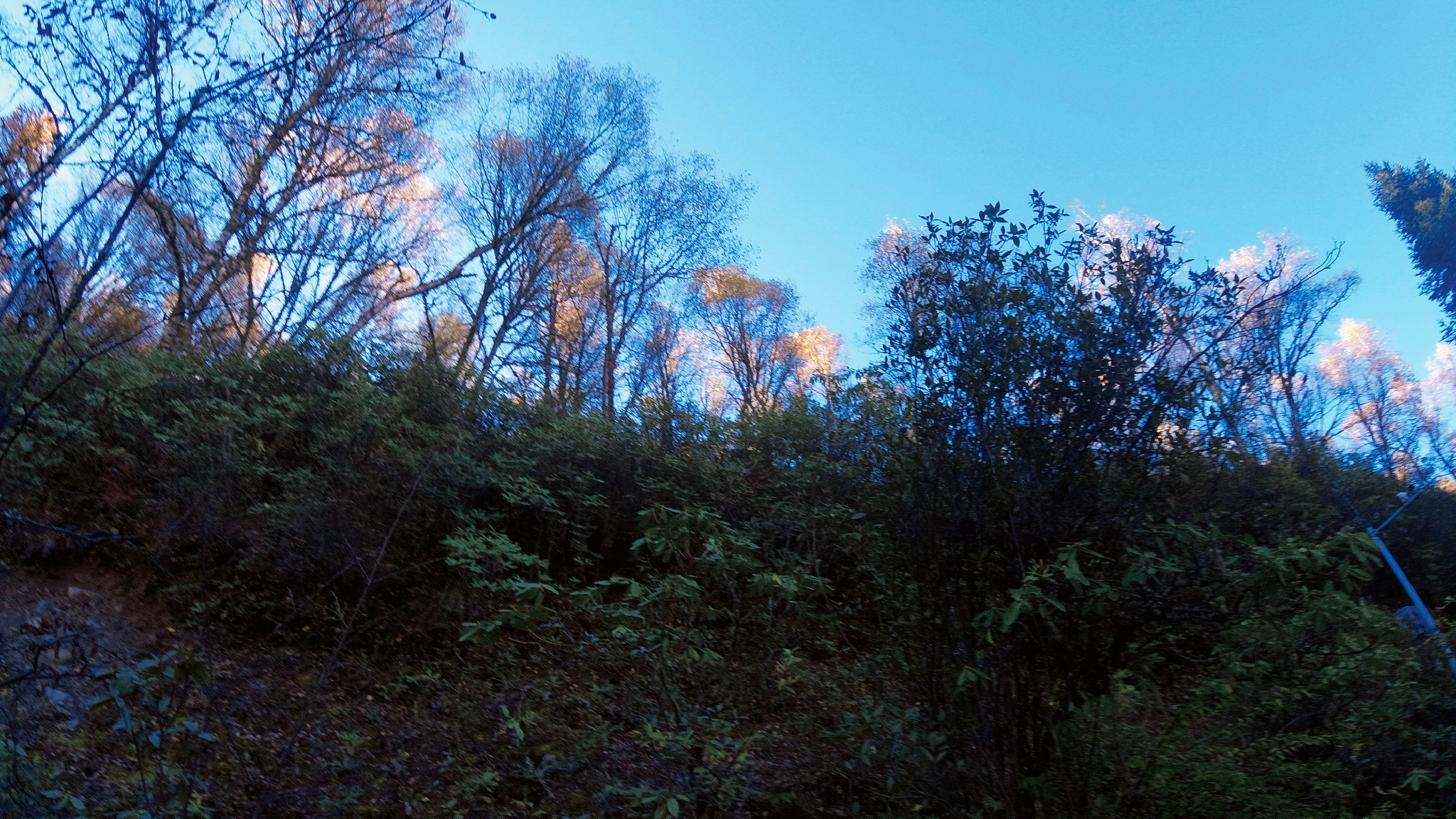 四川旅游四姑娘山阿坝,4月阿坝州必去的景点有什么