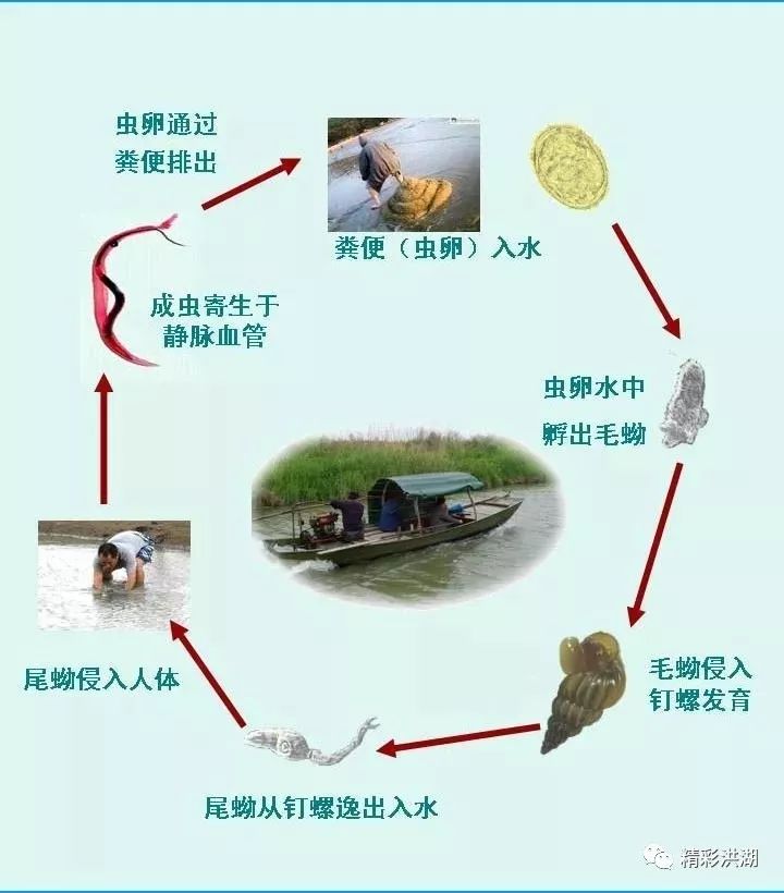 警惕这类疾病进入高发期,警惕这类疾病来袭