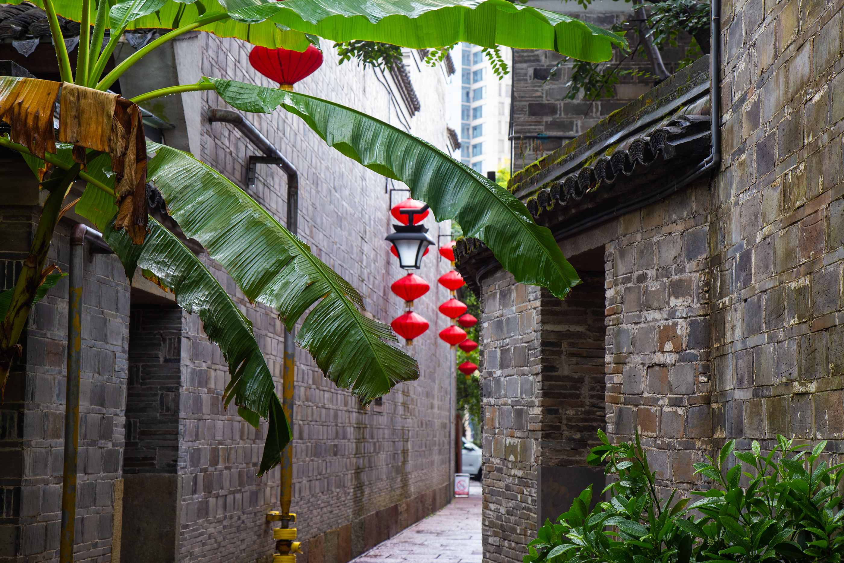 外地人来宁波旅游,外省的来宁波