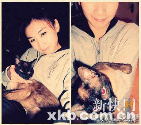 郭晶晶被昔日搭档吴敏霞吐槽,郭晶晶为什么是下嫁豪门