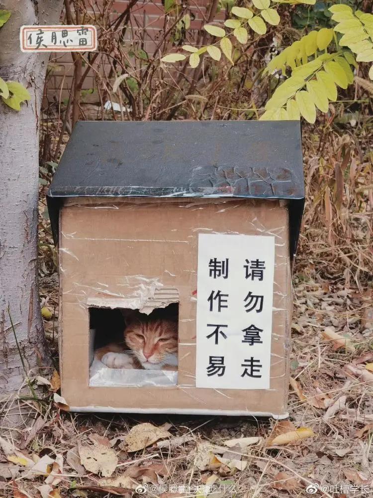 天津大学化工亚洲第一,天津大学化工专业在全国排名第几